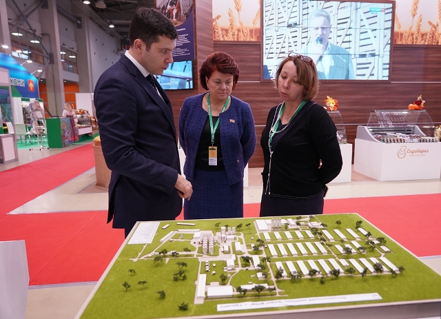 «ДолговГрупп» построит новый завод по переработке яиц