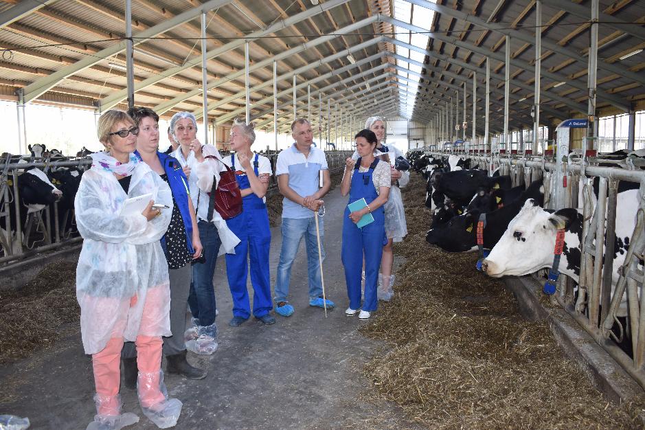 «ДолговГрупп» - достойный конкурент в АПК на Северо-Западе