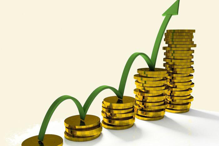 Агрохолдинг «ДолговГрупп» намерен увеличить товарооборот до 10 млрд рублей