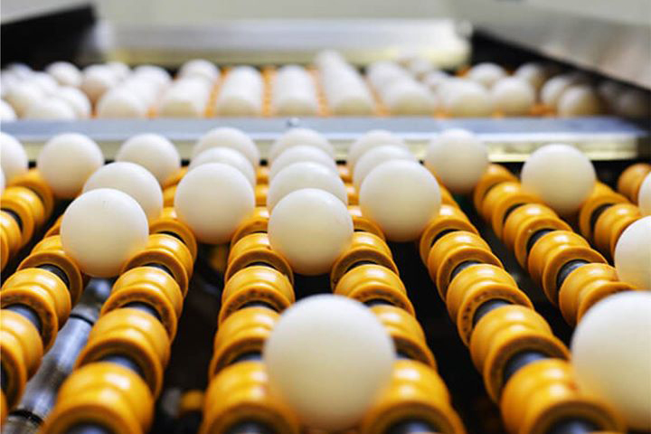 Агрохолдинг «ДолговГрупп» построит в Гурьевске завод по переработке яиц.