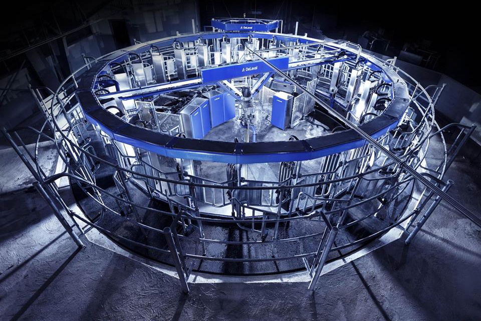 В Калининградской области появится уникальный комплекс молочного производства