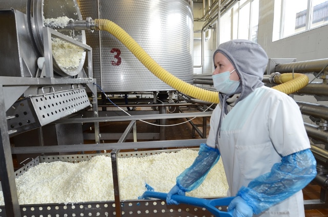 Завод «Гусевмолоко» модернизируют за 150 млн рублей