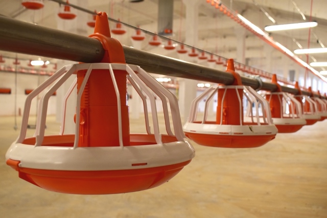 Агрохолдинг «ДолговГрупп» запускает бройлерную птицефабрику